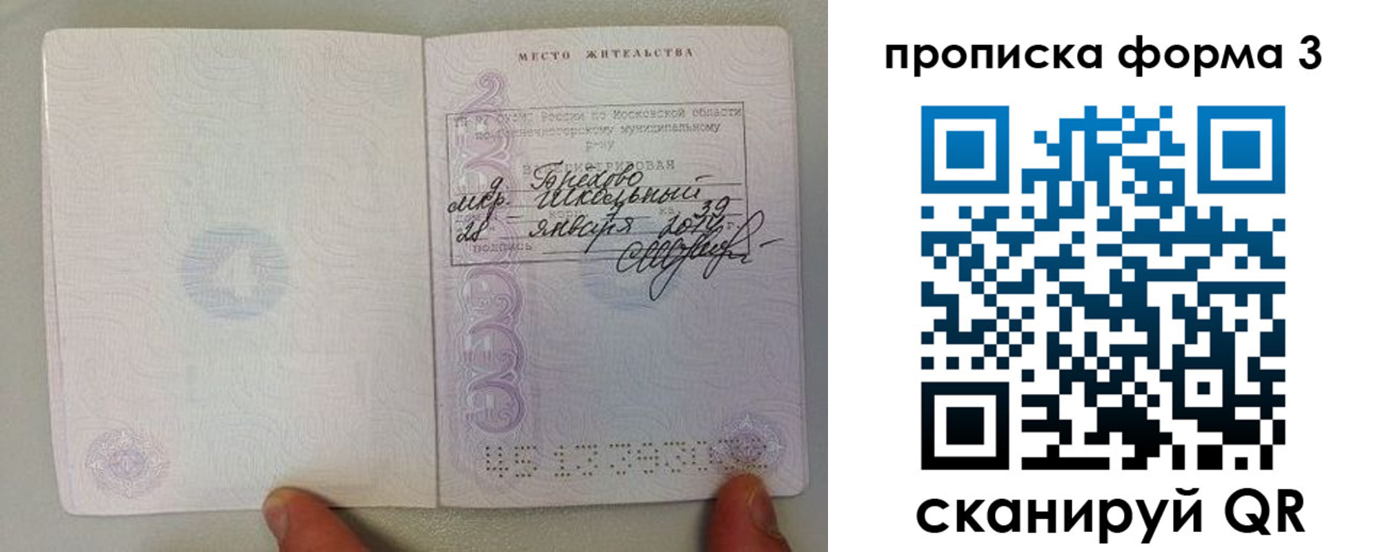 прописка гарантия в Вяземском